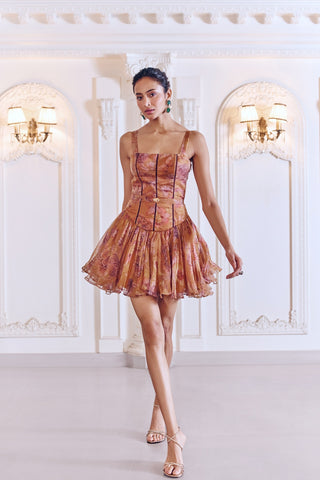 PIXIE